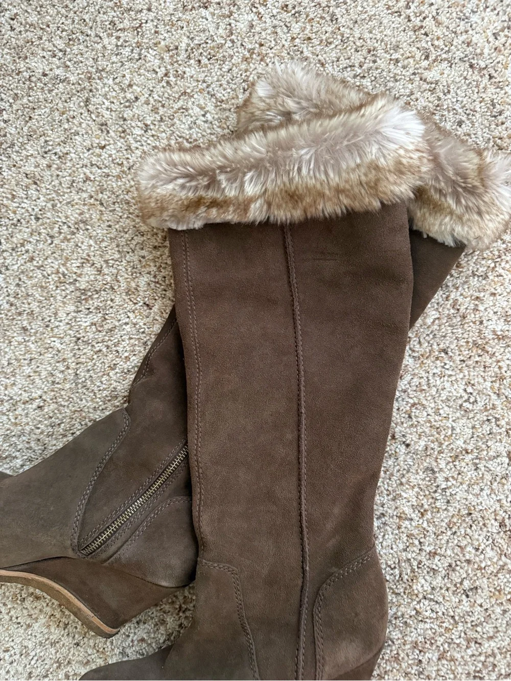 Splendid anthropologie brown